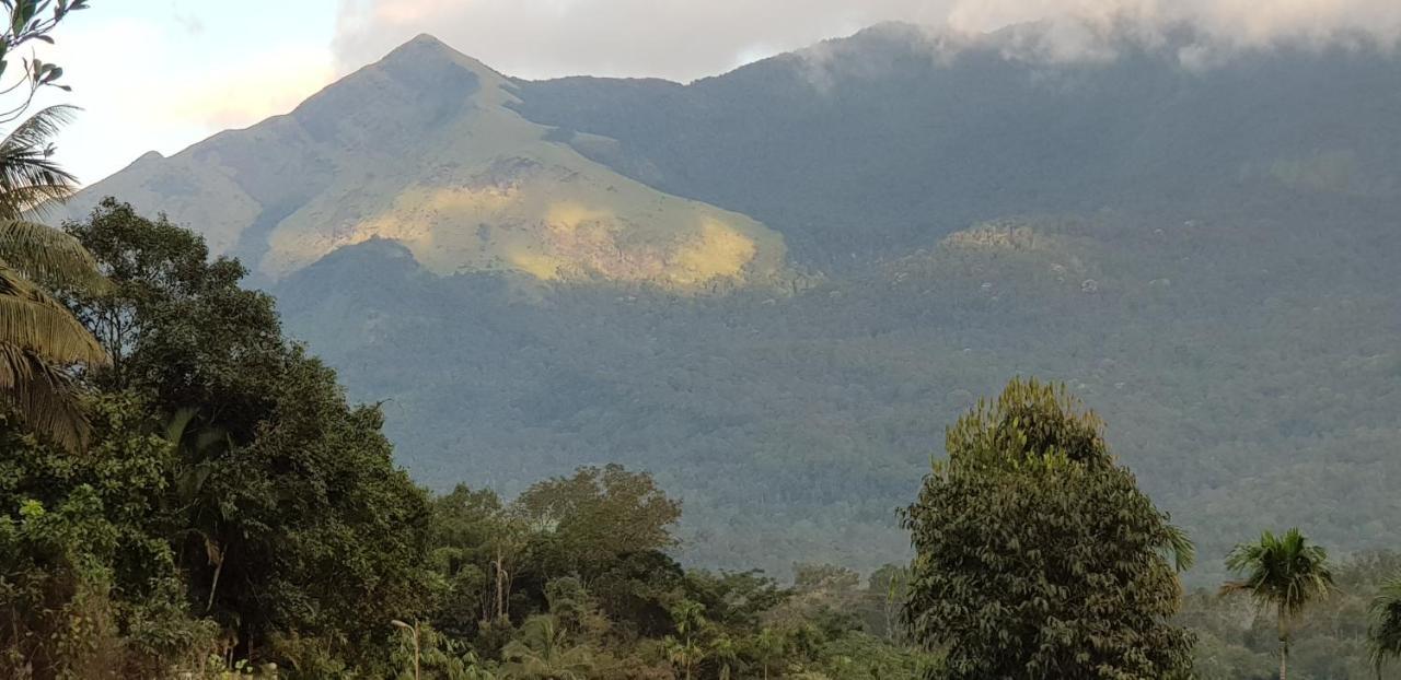Wayanad Doubletree Villa Vythiri Eksteriør billede