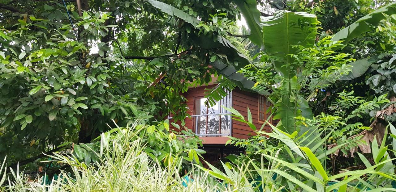 Wayanad Doubletree Villa Vythiri Eksteriør billede