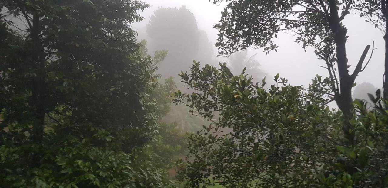 Wayanad Doubletree Villa Vythiri Eksteriør billede