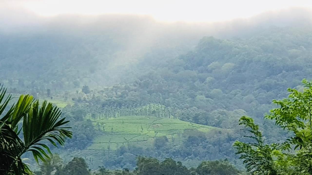 Wayanad Doubletree Villa Vythiri Eksteriør billede