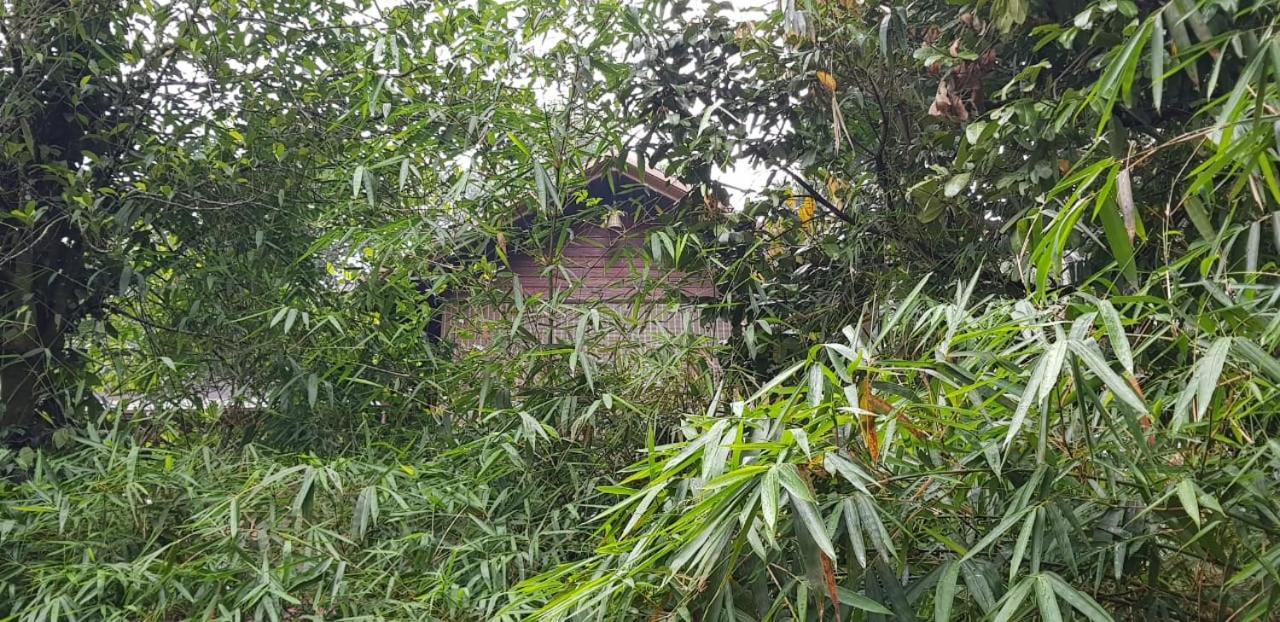 Wayanad Doubletree Villa Vythiri Eksteriør billede