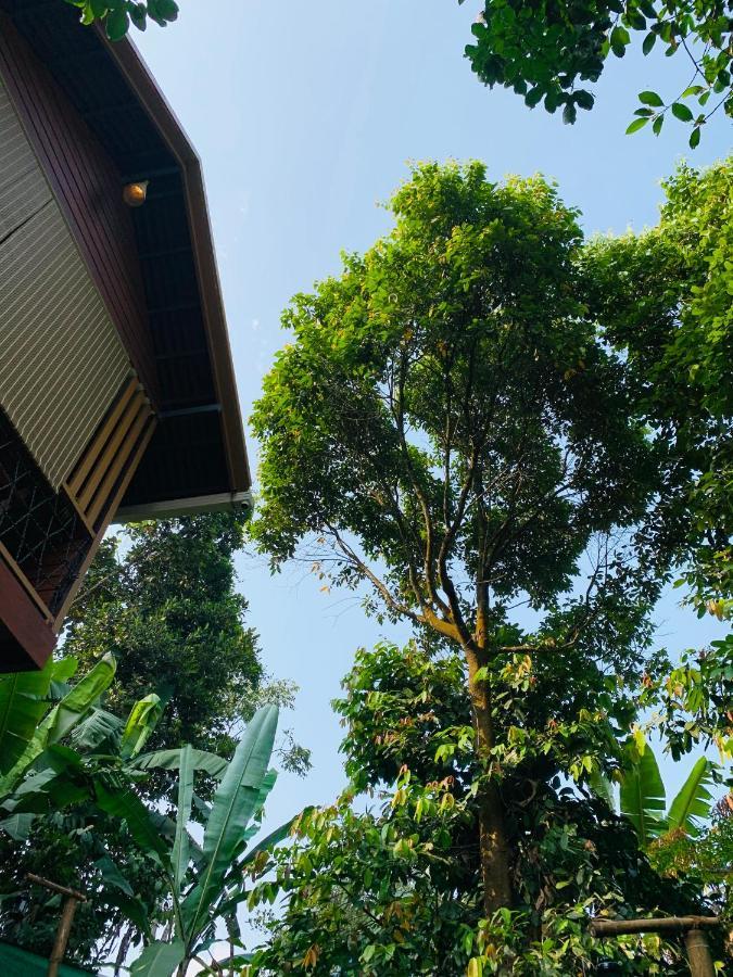 Wayanad Doubletree Villa Vythiri Eksteriør billede