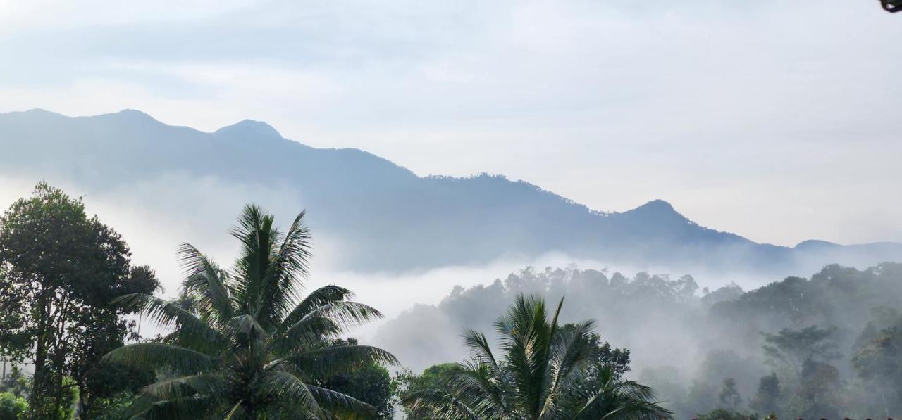 Wayanad Doubletree Villa Vythiri Eksteriør billede